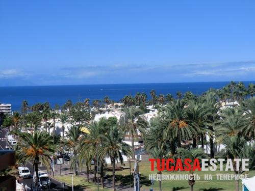Недвижимость на Тенерифе -Сдается квартира на острове Tenerife в районе Las Americas.