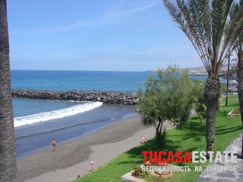 Недвижимость на Тенерифе -Сдается студия в районе Playa de